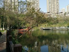 -重庆彩云湖湿地公园