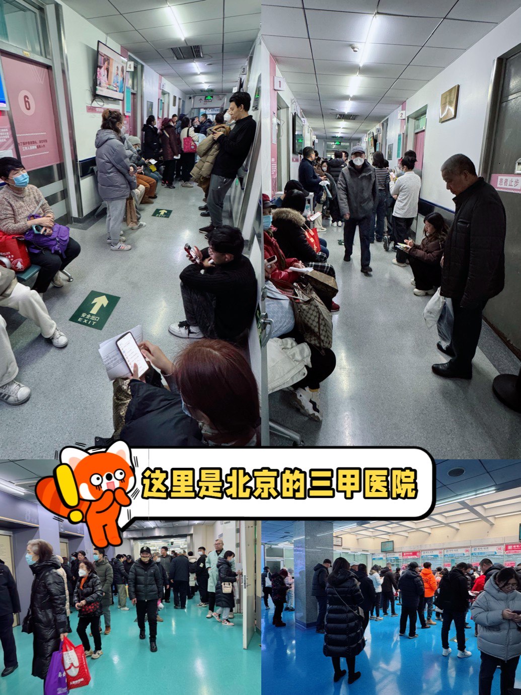 包含北京宣武醫院、協助就診號販子專家預約代掛的詞條
