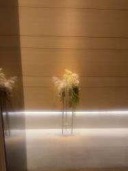 -恒美雅轩·品牌直营连锁