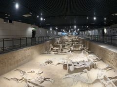 -洛阳周王城天子驾六博物馆