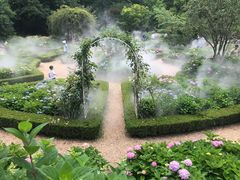 -上海共青森林公园