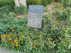 -汉长安城未央宫国家考古遗址公园