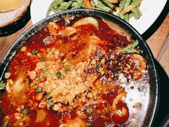 -前海沿·青岛菜(大拇指广场石老人店)