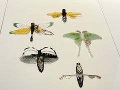 -浙江西湖美术馆