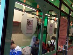 -猫咪博物馆(顶澳仔猫街店)