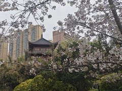 -堤角公园