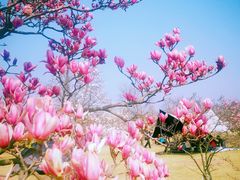 -上海辰山植物园