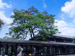 -荔湾湖公园