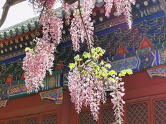 -北京国子监胡同