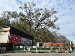 -天怡·鱼工厂(梅溪湖店)