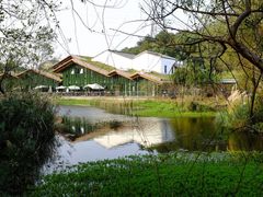 -西湖风景区-江洋畈生态公园
