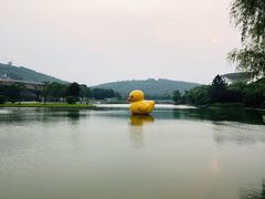 -上海佘山世茂艾美酒店