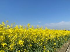 -中国天府农业博览园