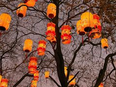 -小厨娘金榜题名(夫子庙秦淮河店)