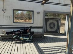 -石榴庄公园