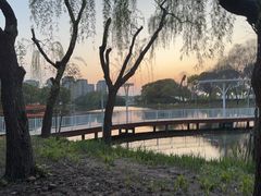 -新江湾城公园