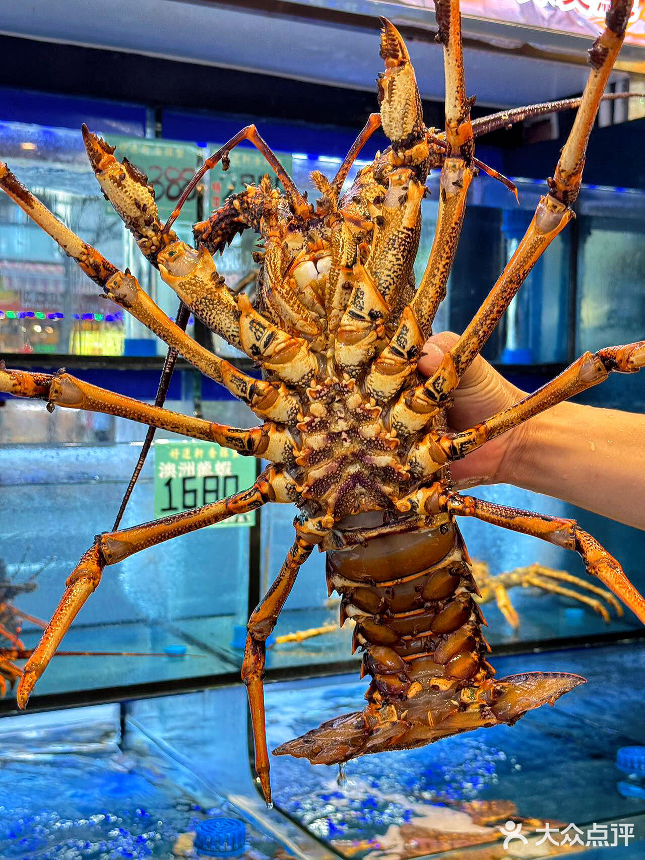 澳门这家。。真的没对手！