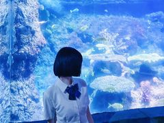 -南昌海洋公园