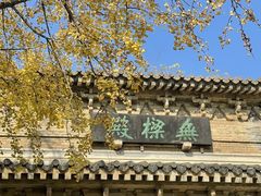 -灵谷景区