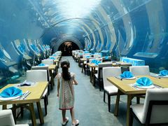 -海棠湾洲际-涛·海底餐厅·美人鱼·自助餐·海底隧道