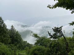 -莫干山风景区