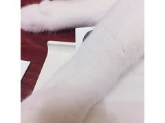 -壹人壹像工作室(购物公园店)