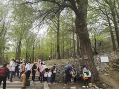 -阳台山自然风景区