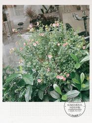 点击看大图 -尚艺造型.剪烫染.接发