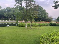 -院士公园