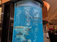 -谭厨中山传家菜.乳鸽.脆鲩鱼(华强北中航城店)