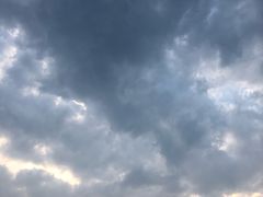 -大连体育中心体育馆