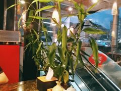 -炙柒Sekinana·精致料理 烧鸟·铁板烧(海上世界店)