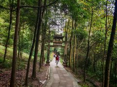 -凤栖山