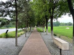 -汉长安城未央宫国家考古遗址公园