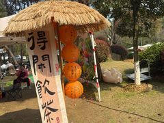 -铁山坪森林公园