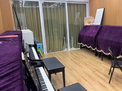 -珠江钢琴艺术中心(文一路店)