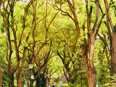 -玲珑塔公园