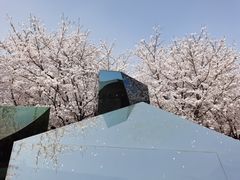 -龙美术馆(西岸馆)
