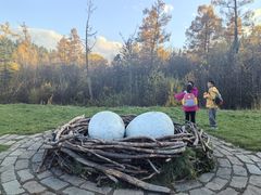 -五营红松林海景区