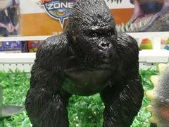 -TOYSRUS玩具反斗城(凯德广场云尚店)