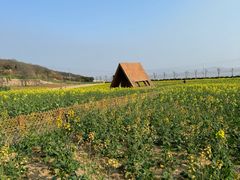 -舟山嵊泗列岛风景名胜区