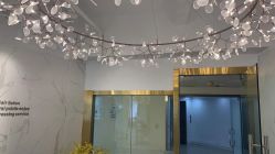 -潘多拉Hairsalon