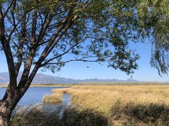 -野鸭湖国家湿地公园