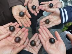 -荣泰市场(二马路店)