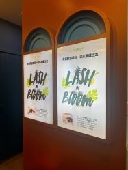 -Browhaus眉睫沙龙