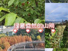 -福道