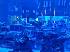 -上和臻品中国菜(花园街店)