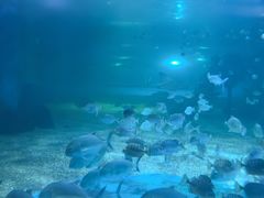 -常州海昌海洋探索馆