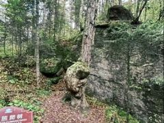 -汤旺河林海奇石景区