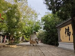 -韩家民俗村